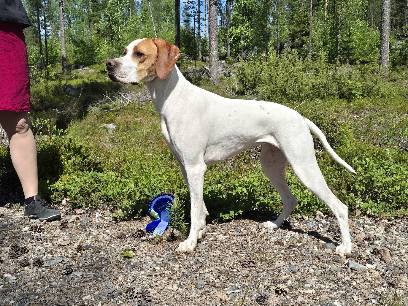 Hilde seisoo metsässä