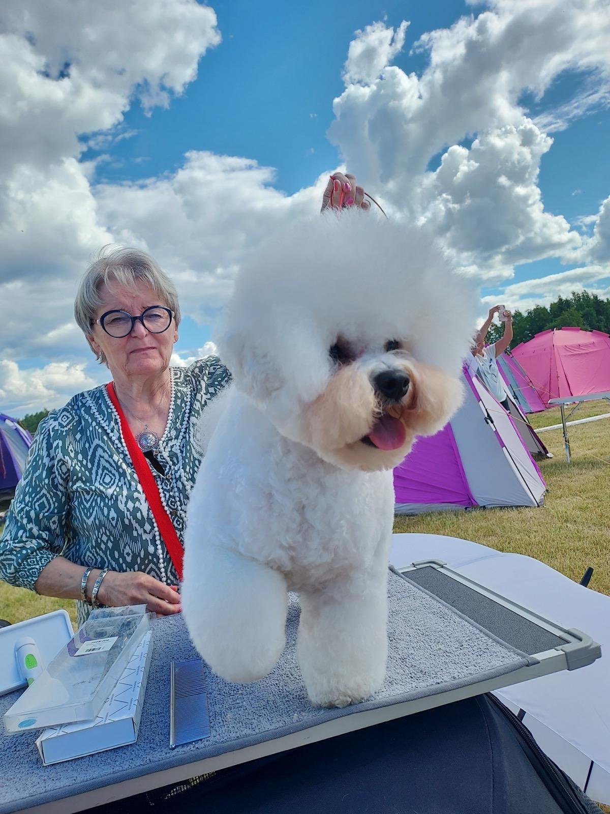 Lili näyttelyssä