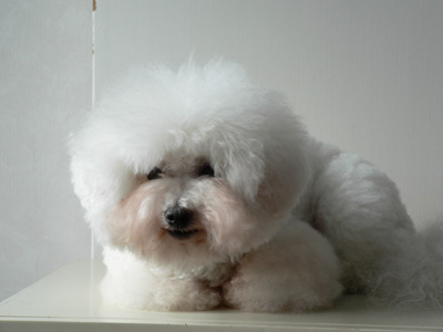 muru